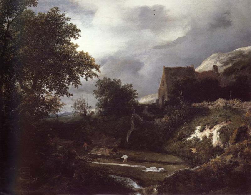 Jacob van Ruisdael Bleaching Ground in a hollow by a cottage oil painting picture